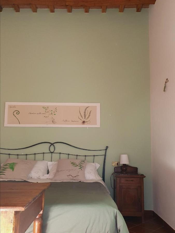 Pietra D'Acqua B&B In The Woods Buti Extérieur photo